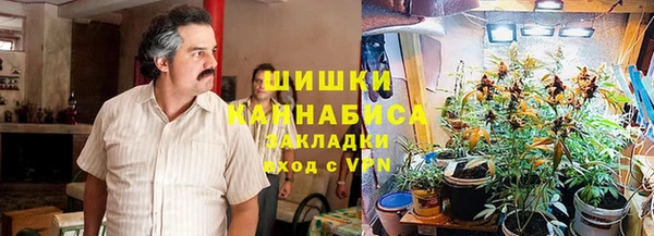 крисы Алзамай