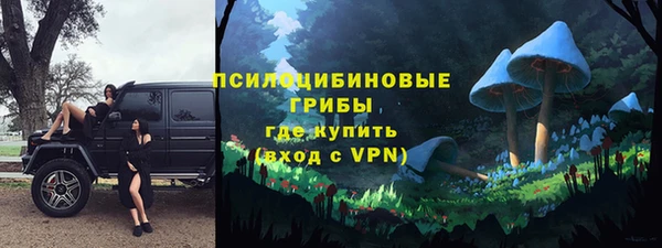 ГАЛЛЮЦИНОГЕННЫЕ ГРИБЫ Алексеевка