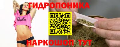 гашик Канаш