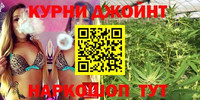 apvp Камышлов