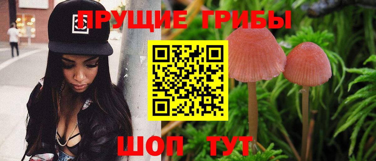 Изобильный  как найти   Вход с VPN  Галлюциногенные грибы прущие грибы 