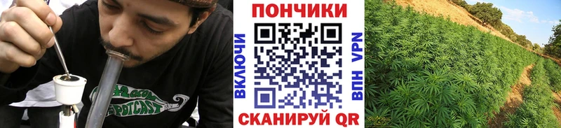 где найти   нарко площадка Telegram  Конопля конопля  Изобильный  блэк спрут ONION 